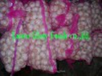 Normal White Fresh Garlic