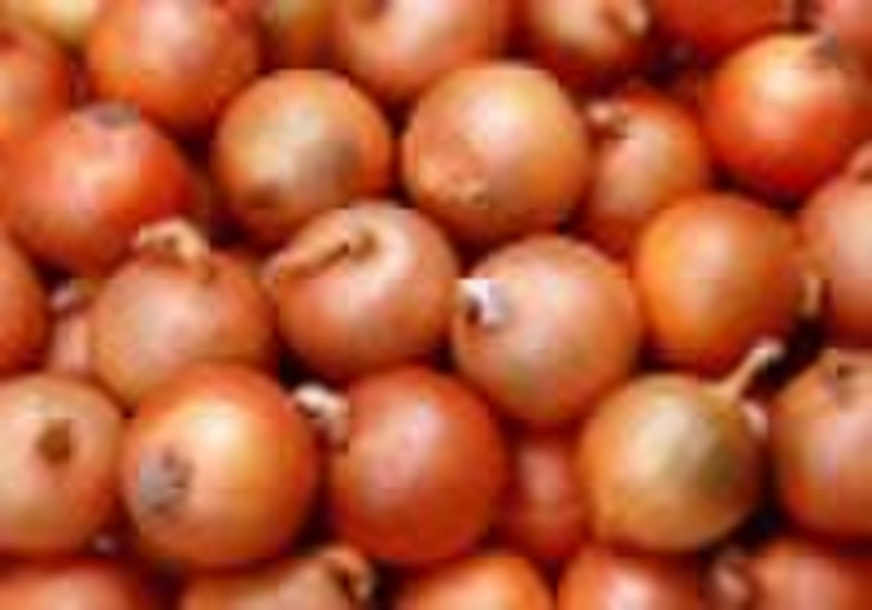 fresh yellow onion