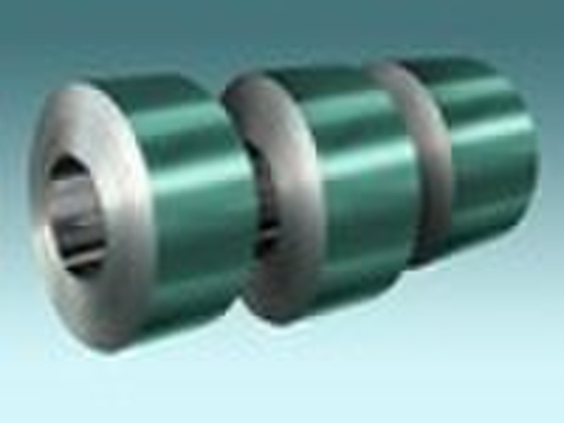 Copolymer coated steel tape