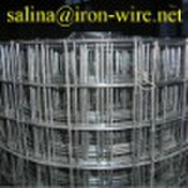 Galvanized Welded Wire Mesh(1/4''-5'&#