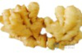fresh ginger