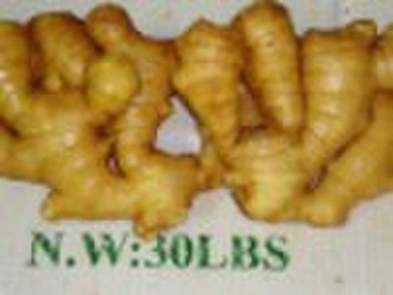 best quality fresh ginger