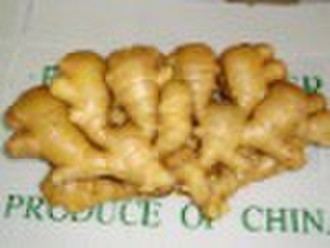 best quality fresh ginger