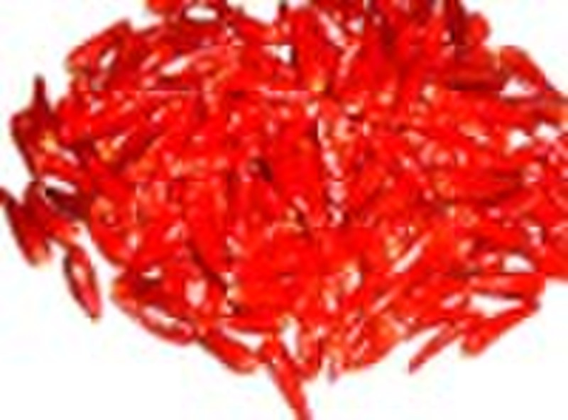 Small Hot Red chili