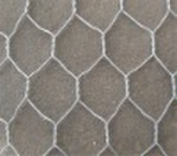 hexagonal wire mesh(factory)