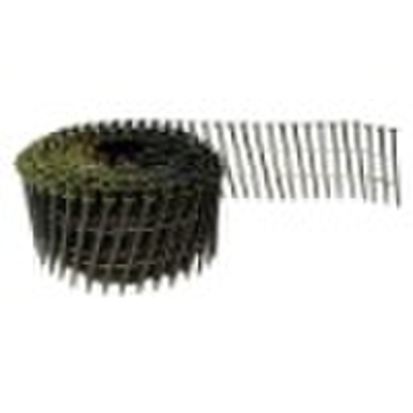 Galvanized coil nail