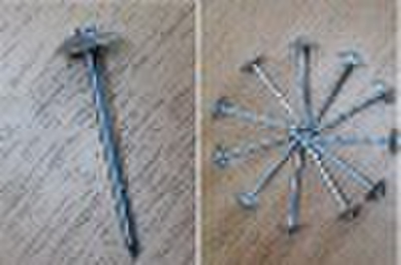 Umbrella roofing nail