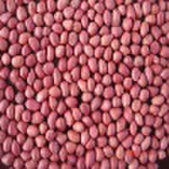 chinese red skin peanuts