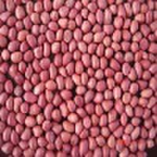 chinese red skin peanuts