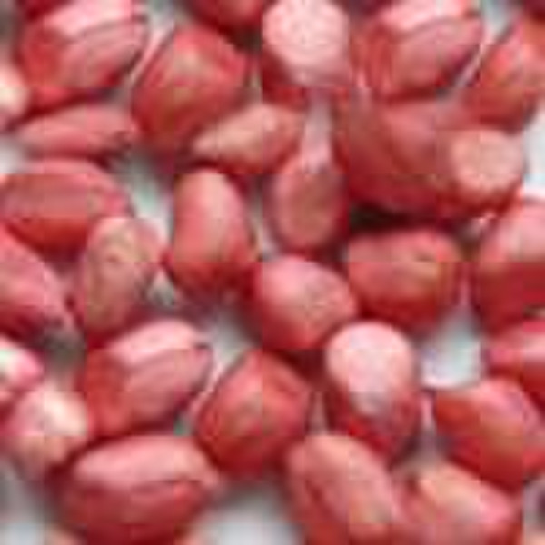 Rote Haut Peanut