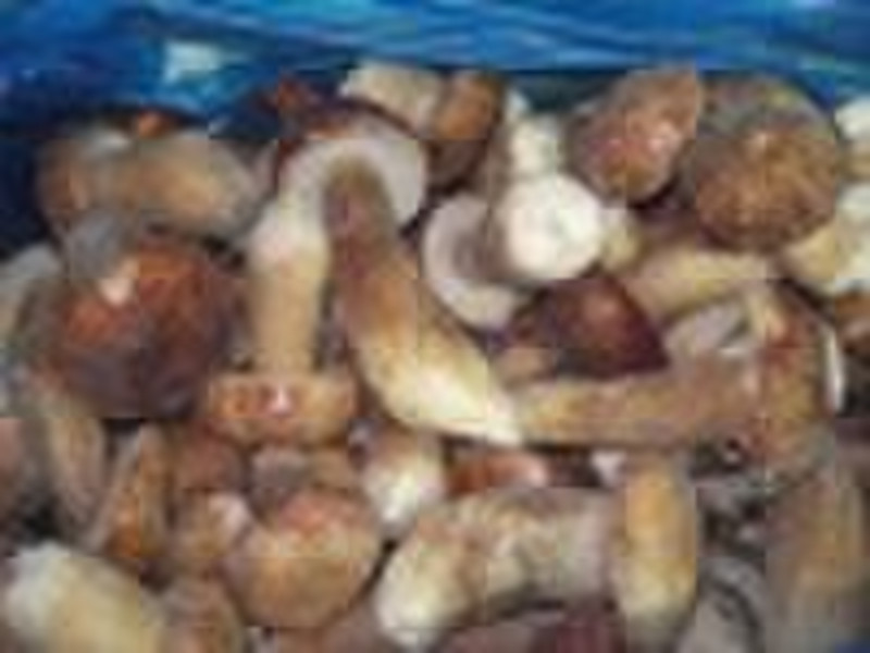 冻结Boletus Edulis整个蘑菇