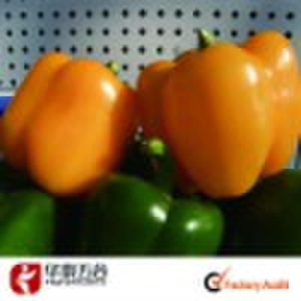 SP323 Sweet pepper seed