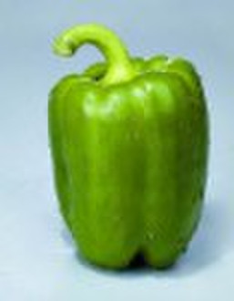 SP458 Sweet Pepper seed