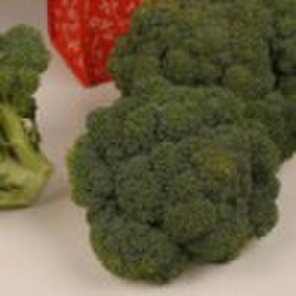 Excellent broccoli Seed