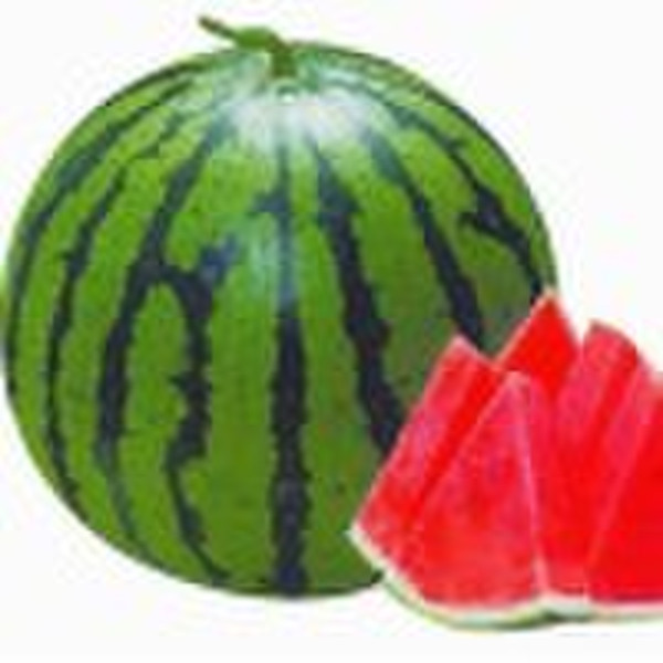 watermelon seed