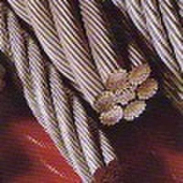 Steel wire rope