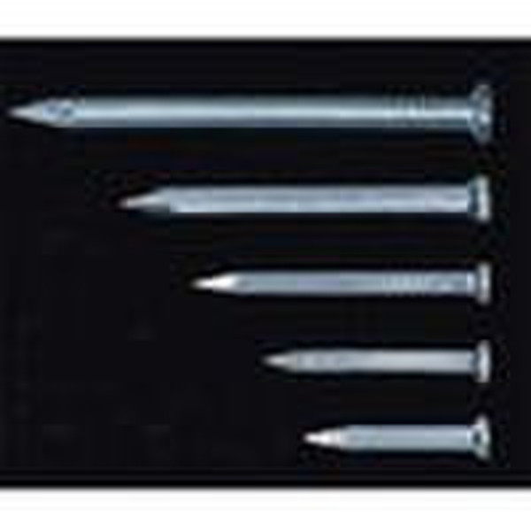 Common Wire Nail
