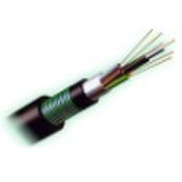 Double coated double armored cable