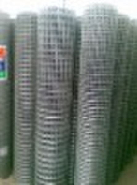 galvanized welded wire mesh