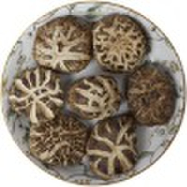 Blume Shiitake-Pilz