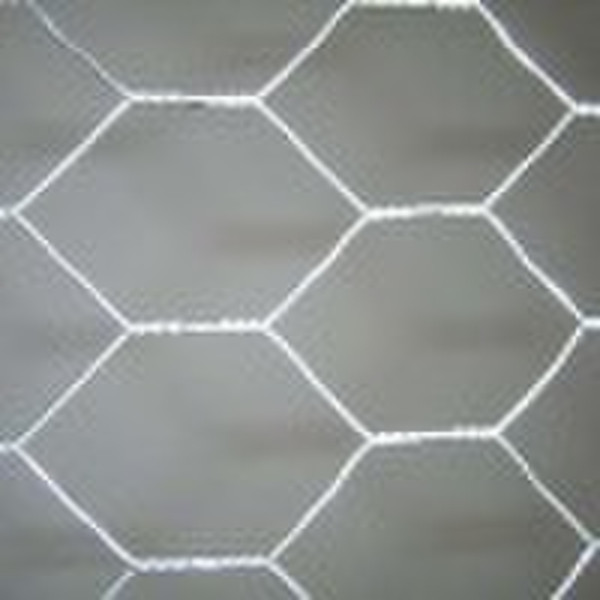 hexagonal wire mesh netting(gabion box) -- straigh