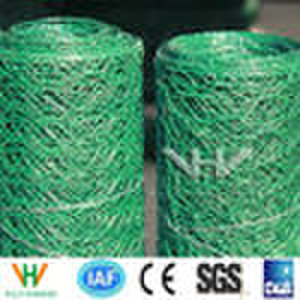 Poultry Wire Netting(factory)