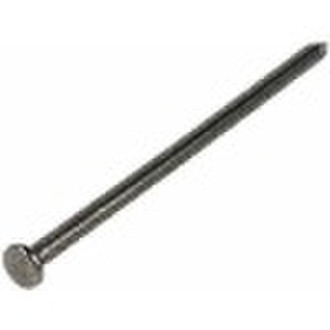 Hardware common nail