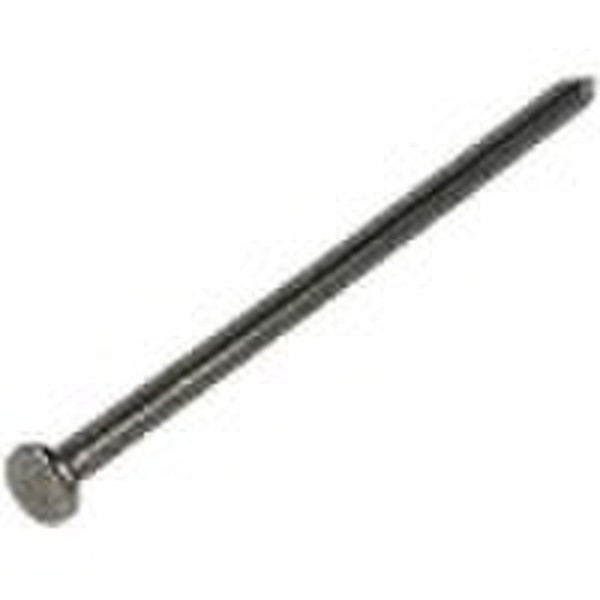 Hardware common nail
