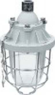 DCG52-200 Flame proof lamp