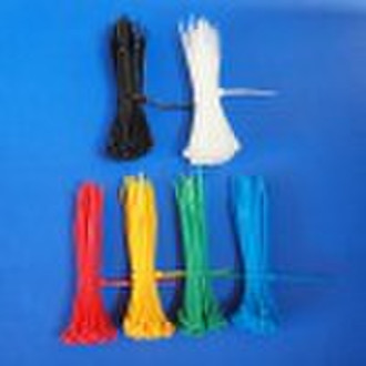 cargo tie/cable tie/plastic tie