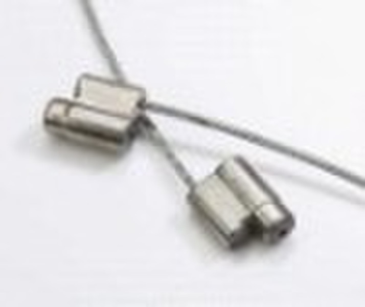 HB-C119 packaging container lock seal