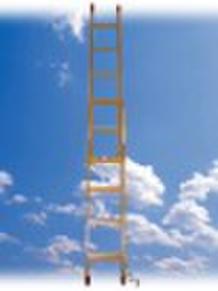 FRP ladder