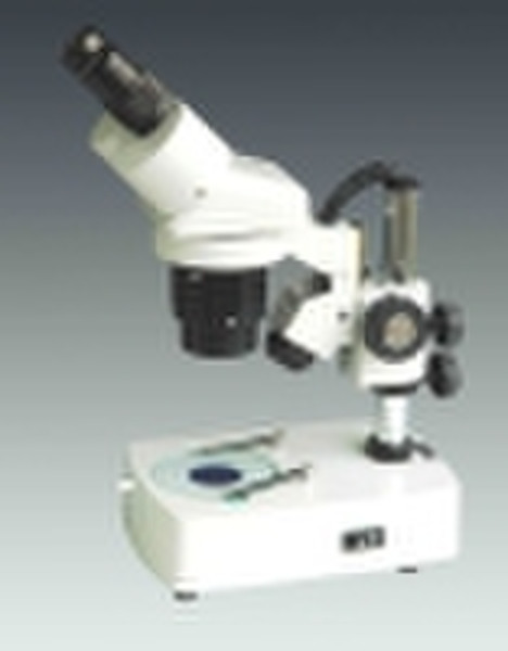 Stereo Microscope