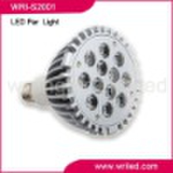 12x1 W LED Spot light