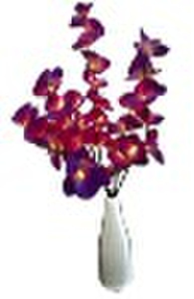 Orchid flower twig light