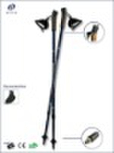 Nordic Walking Stick