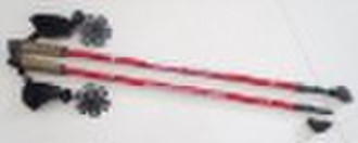 B208 Nordic walking stick