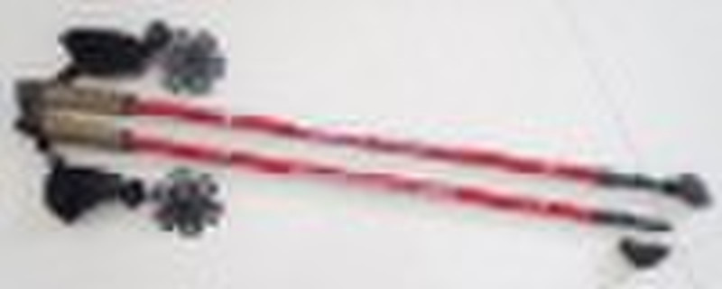 B208 Nordic walking stick