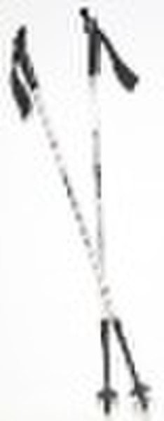 nordic walking stick