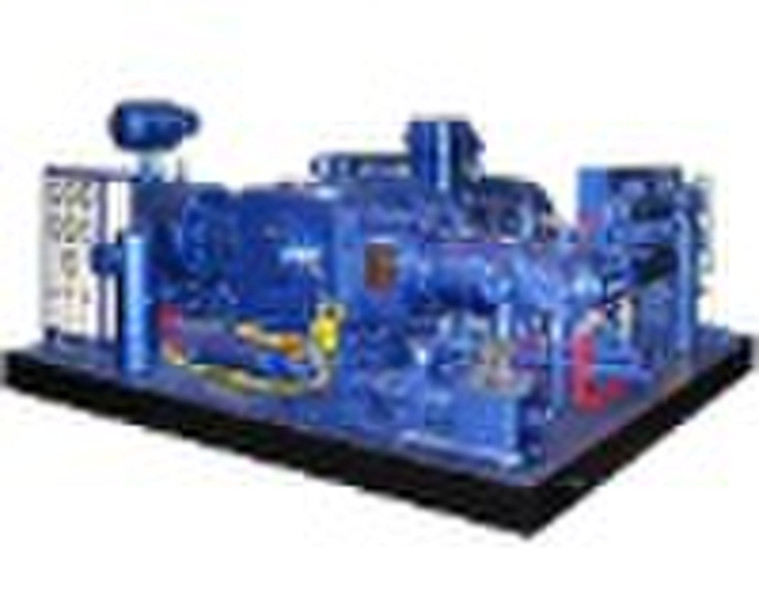 D Type CNG Compressor