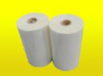 polyester film