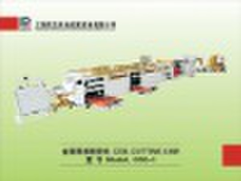 Coil Cutting Line Css-1