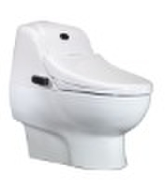 Integrated Intelligent Bidet