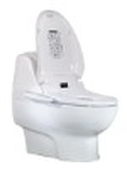 Integrated Intelligent Bidet