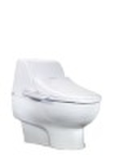 Integrated Intelligent Bidet