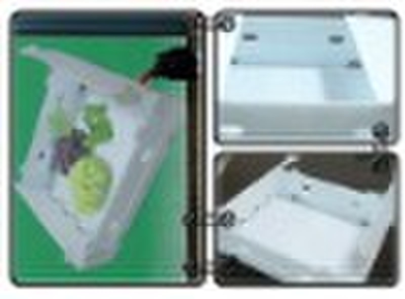 fruit plastic storge boxes with pp hollow sheet