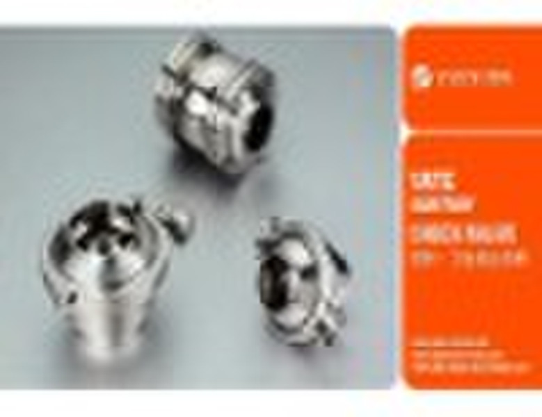 Stainless Steel 304/316L Check Valve