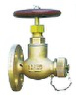 Bronze House globe valve