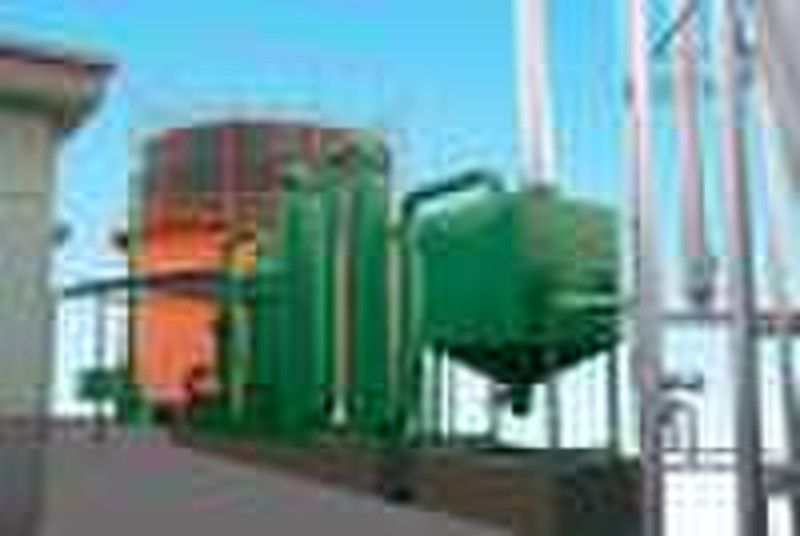 Biomassevergasung Power Generation