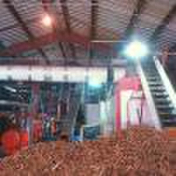 Biomassevergasung Energieerzeugungssystem